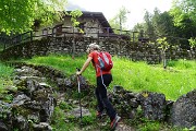 Monte Zucco (Direttissima / Sentiero Panoramico) da San Pellegrino Terme il 22 aprile 2016  - FOTOGALLERY